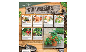Woodlodge helps retailers to inspire a new generation of gardeners with ‘virtual sales assistants’