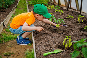 A little boy outside enjoying gardening