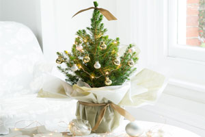 The Mini Christmas tree from BlossomingGifts