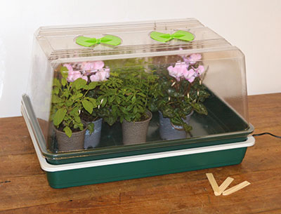 Garland’s Single High Top Variable Temperature Control Electric Propagator.