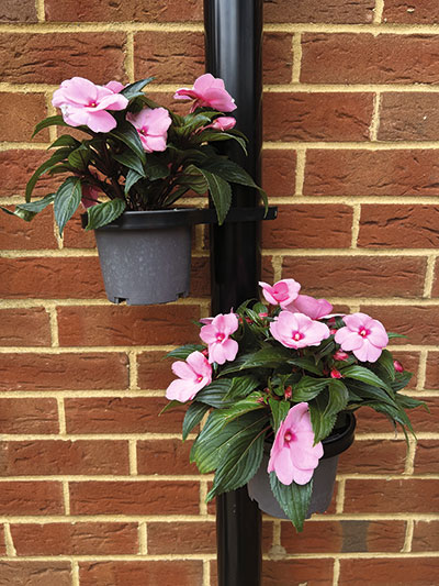 Garland’s Downpipe Pot Holder on Round Downpipe.