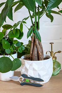 Pretty and practical: gorgeous new gardening gifts for Christmas