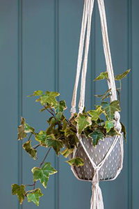 Pretty and practical: gorgeous new gardening gifts for Christmas