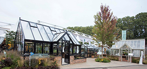 Hartley Botanic greenhouses trade stand RHS Hampton Court press day