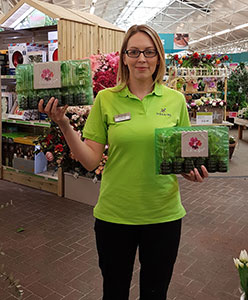Haskins Garden Centre employee announced as runner-up in Cultivation Street’s Ambassador competition