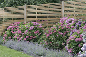 Garden Fencing