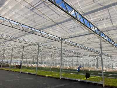Commercial greenhouses