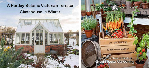 A Hartley Botanic Victorian Terrace Glasshouse in Winter for Winter Greenhouse Gardening