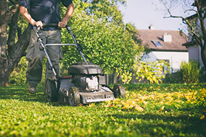 Keep calm and mow on this autumn!