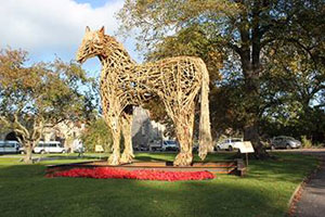 Canterbury College students build War Horse memorial with help from Jacksons Fencing