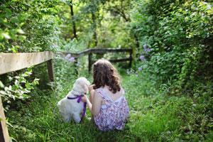 Generation of Gardeners