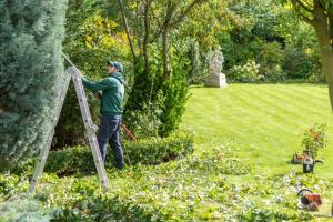 Tips for looking after your garden