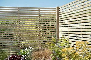 Forest garden fences still standing after storm Ciara