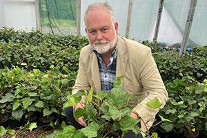 Andy Johnson, Managing Director at Wyevale Nurseries with the new Hedera Algerian Bellecour®.