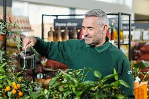 Dobbies team member - managerial role in Antrim