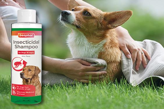 Beaphar Insecticidal Shampoo for dogs