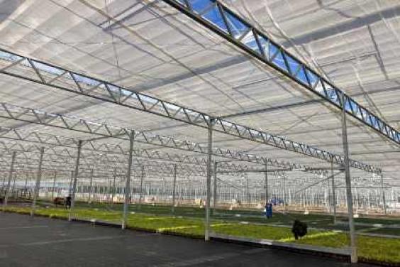 Commercial greenhouses